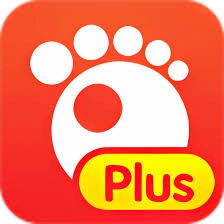 GOM Player Plus 2.3.94.5365